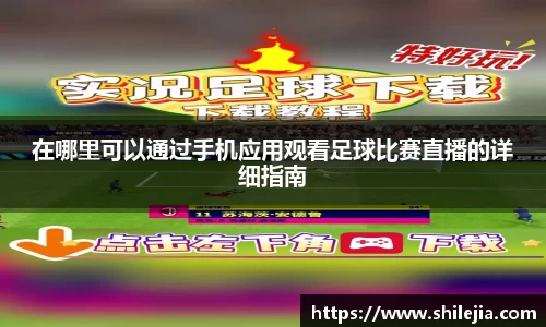 lewin乐玩全站