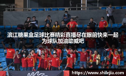 lewin乐玩全站