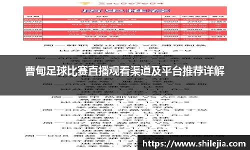 lewin乐玩在线