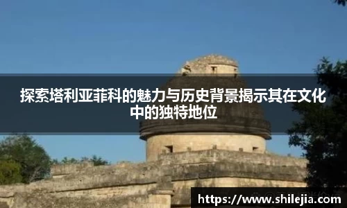 lewin乐玩全站