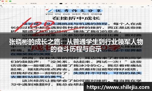 张晓彬的成长之路：从普通学生到行业领军人物的奋斗历程与启示