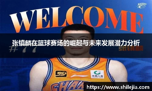 张镇麟在篮球赛场的崛起与未来发展潜力分析